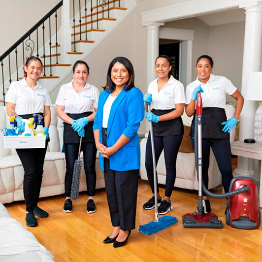 Dusting Pro Cleaning - Image Section 3 Page About Us